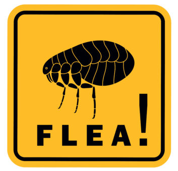 flea sign