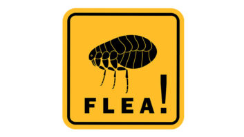 flea sign