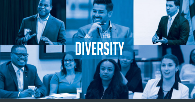 Diversity montage