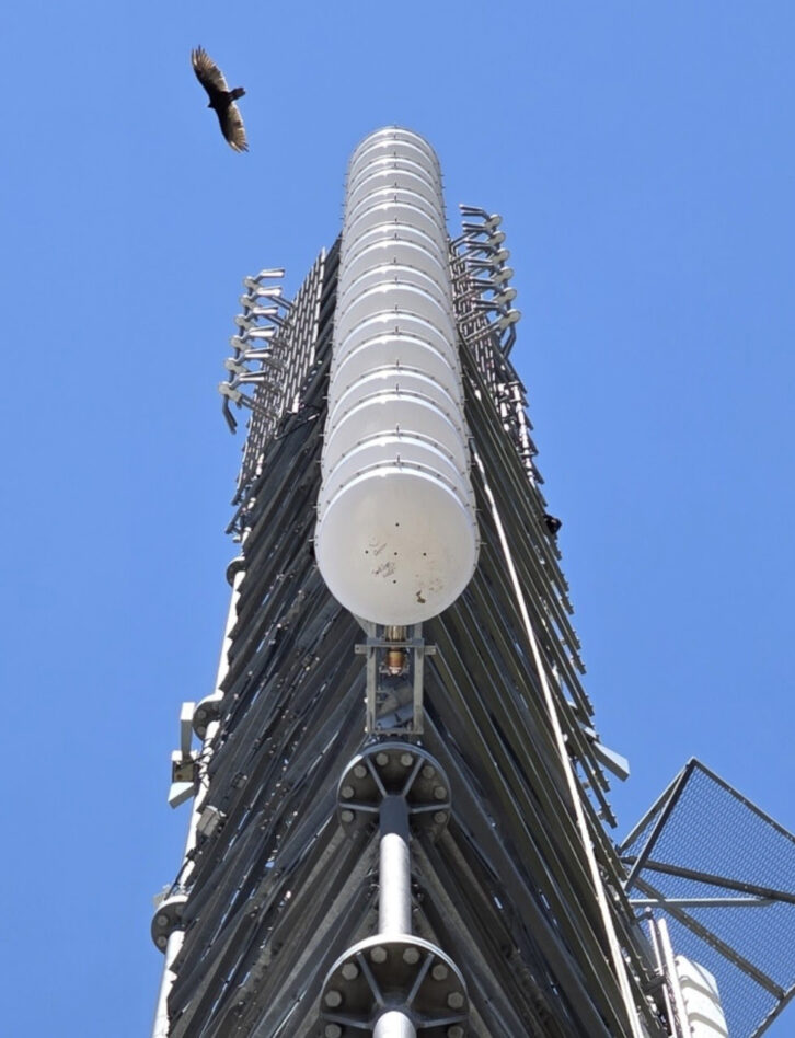 Dielectric RingMaster antenna