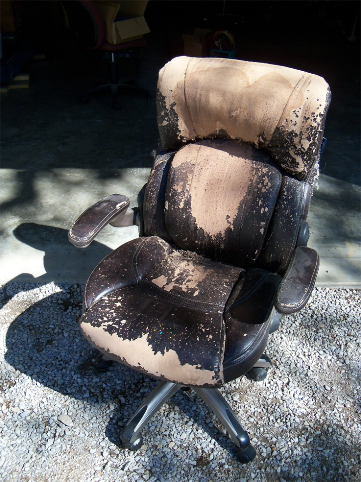 The decrepit office chair.