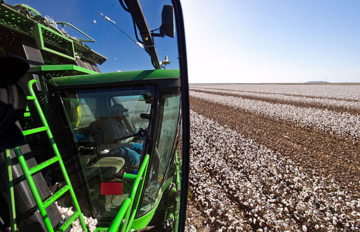 A farmer operates a John Deere & Co. tractor to harvest the cotton crops at Legacy Farms in the Nueces County of Chapman Ranch, Texas, U.S., on Tuesday, Aug. 23, 2016. The United States Department of Agriculture (USDA) estimates US export sales of 18,500 bales for cotton in 2017-2018. Photographer: Eddie Seal/Bloomberg via Getty Images
