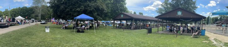 A panoramic view of Woofstock patrons this past June.
